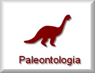 Paleontologa